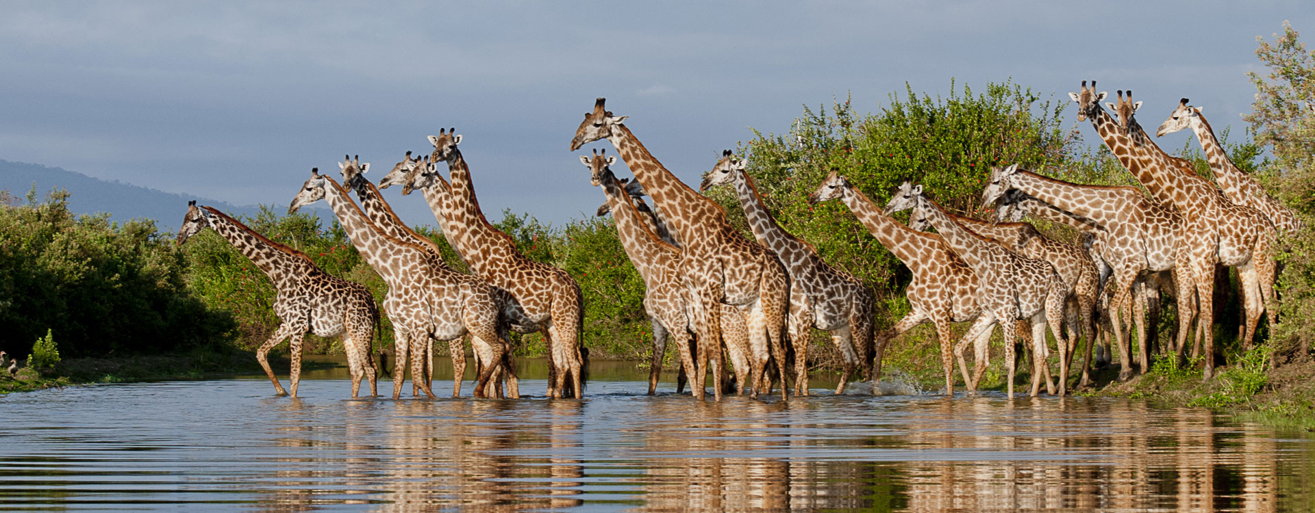 nyerere-national-park nyerere-national-park